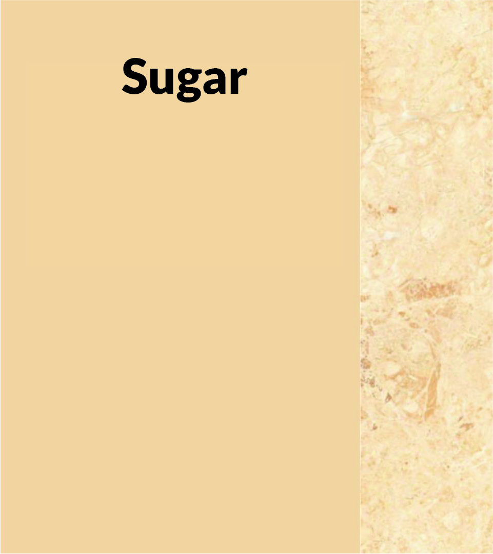 Catalogue